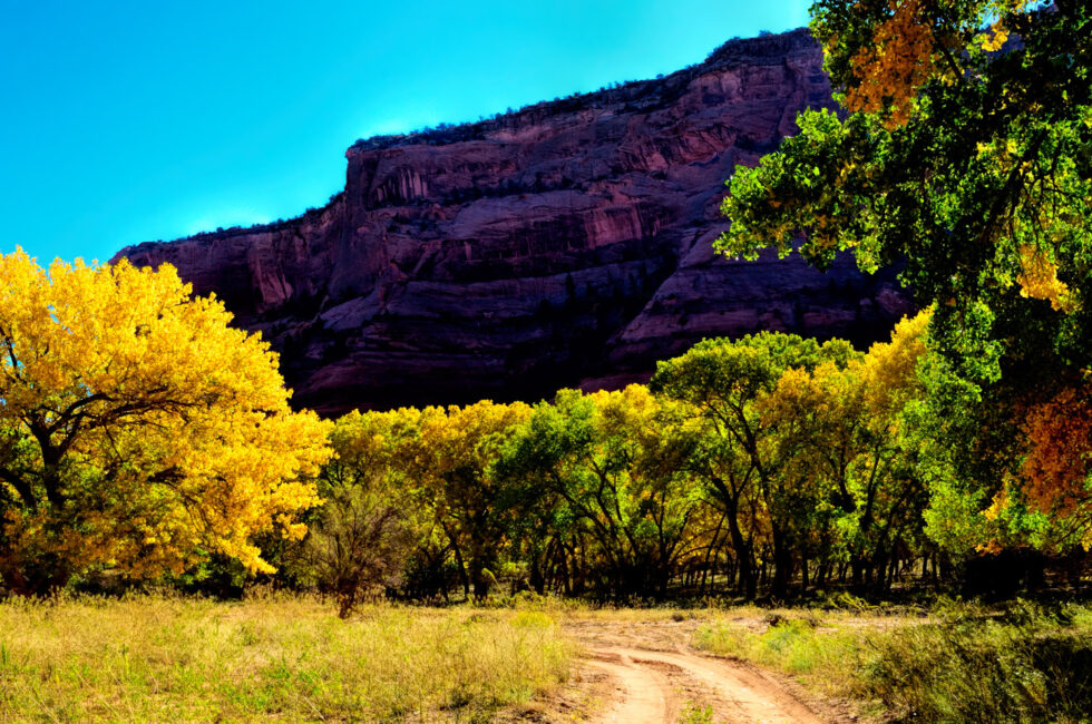 Canyon De Chelly Part 4 The Road To Spider Rock Rcquinn